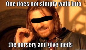 Boromire meme redacted